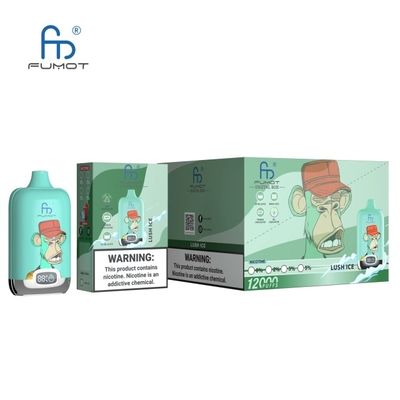 RANDM TORNADO 10000 PLUS AIRFLOW CONTROL DISPOSABLE VAPE DEVICE WHOLESALE (10000 PUFFS)