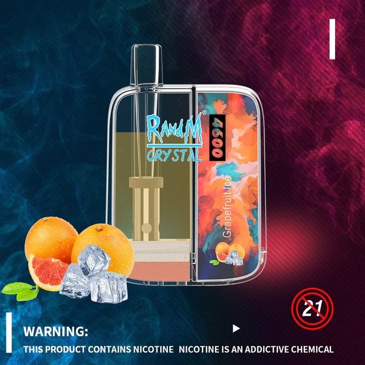 Fruit Flavors E Liquid Disposable Vape 10ml 650mah 4600 Puffs Mesh Coil
