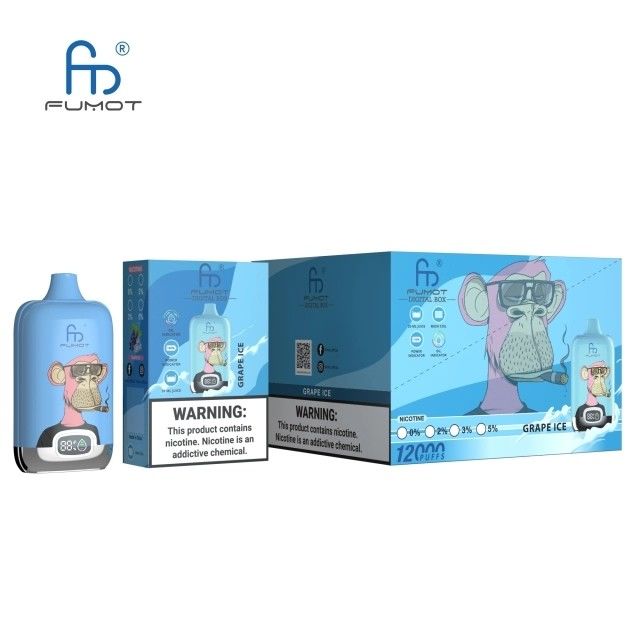 Nicotine Nic Salt Disposable Vape 12000 Puffs 850mah Rechargeable With LED Screen